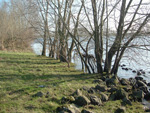 Ruimte voor Maasdriel
